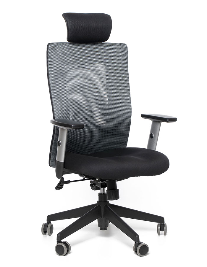 Kancelářská židle Calypso XL SP1 antracitová